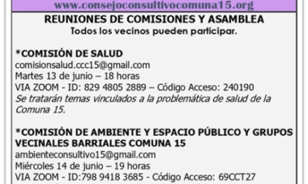 Actividades del Consejo Consultivo Comunal de la Comuna 15- Junio 2023