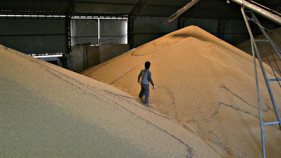 La facturación por las exportaciones de soja y maíz rondaría los US$ 28.700 millones