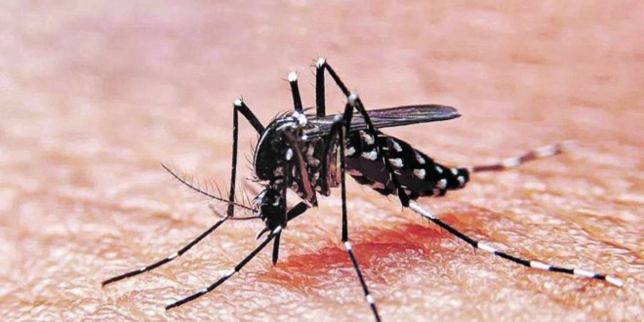 La Comuna 15 es la de mayor prevalencia del dengue en la Ciudad