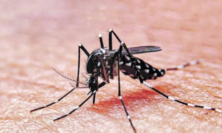 La Comuna 15 es la de mayor prevalencia del dengue en la Ciudad