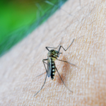 La Ciudad habilitó unidades de atención febriles para dengue en 18 Hospitales Públicos