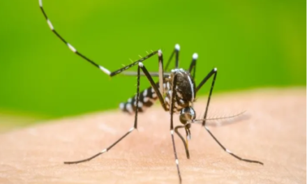 Dengue: diputados buscan que la vacuna sea gratuita y citaron al ministro de Salud de Javier Milei