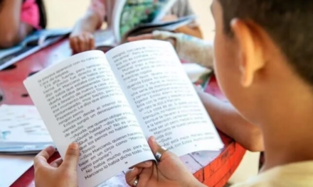 Los planes de alfabetización que presentaron Nación y las provincias tras el lanzamiento de la campaña que impulsaron 190 ONGs