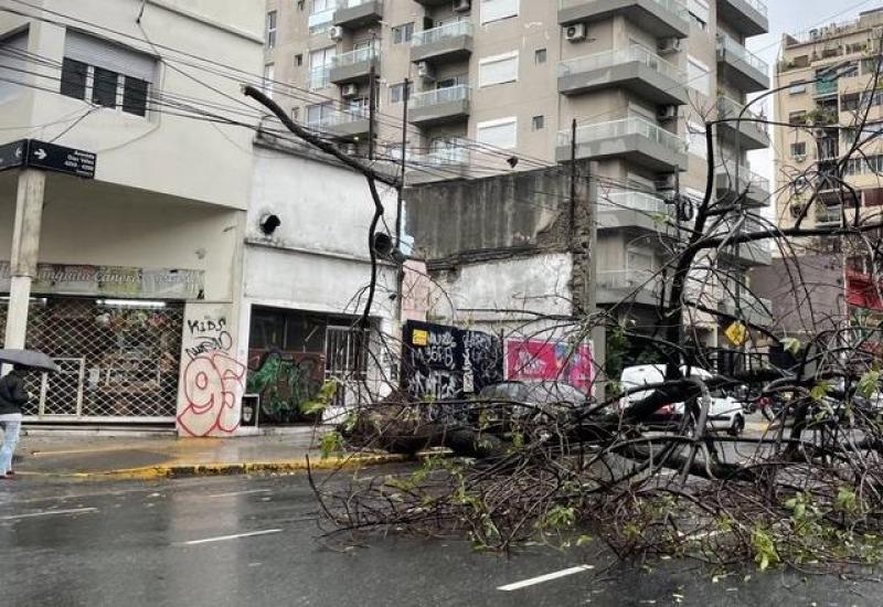 El temporal provocó inundaciones y caídas de árboles en el AMBA