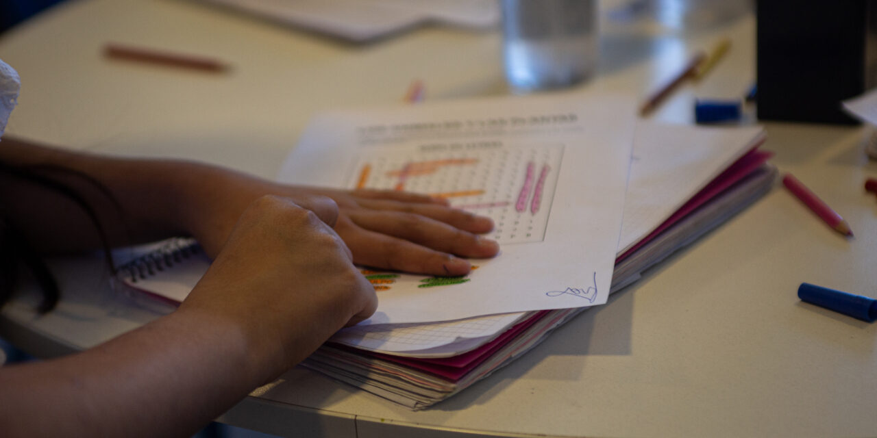 Día Internacional de la Alfabetización: en Argentina 1 de cada 2 chicos de 3er grado no entiende lo que lee