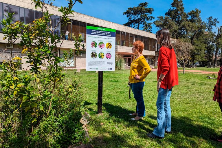 Plantas nativas y «hoteles de abejas»: una opción ideal a tener en cuenta ante el inicio de la primavera