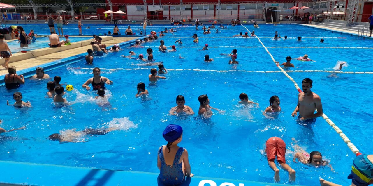 Colonia «Los Bichitos» Temporada 2024