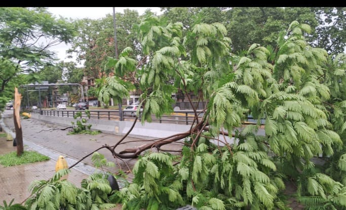 Temporal en el AMBA: más de 400.000 familias con cortes de luz, destrozos y calles anegadas