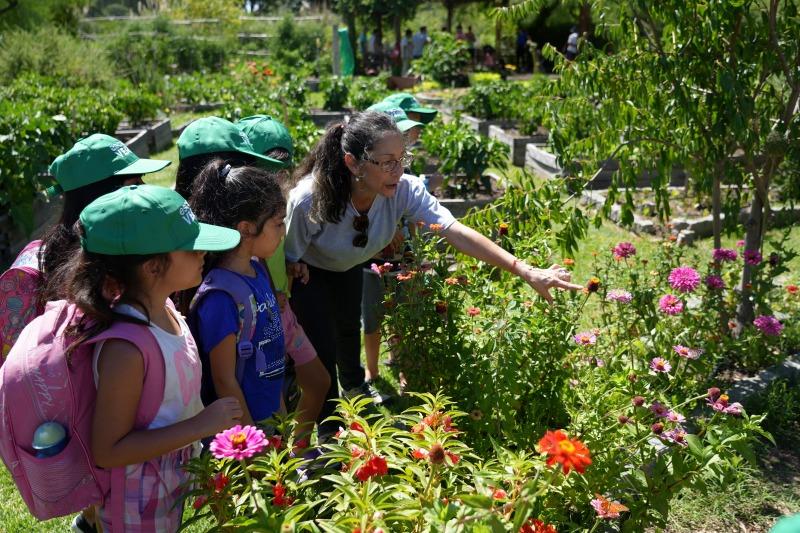 La Ciudad celebró el Día Mundial de la Educación Ambiental