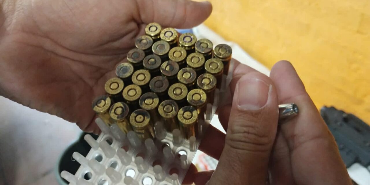 Rescatan trece perros y secuestran arsenal en casa de detenido tras un choque