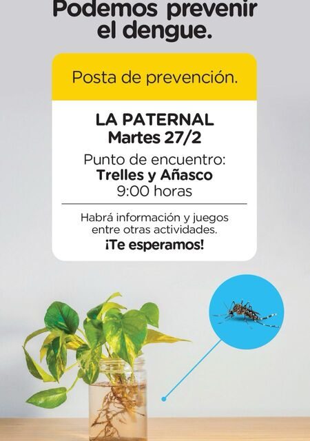 Nueva posta de prevención para el dengue