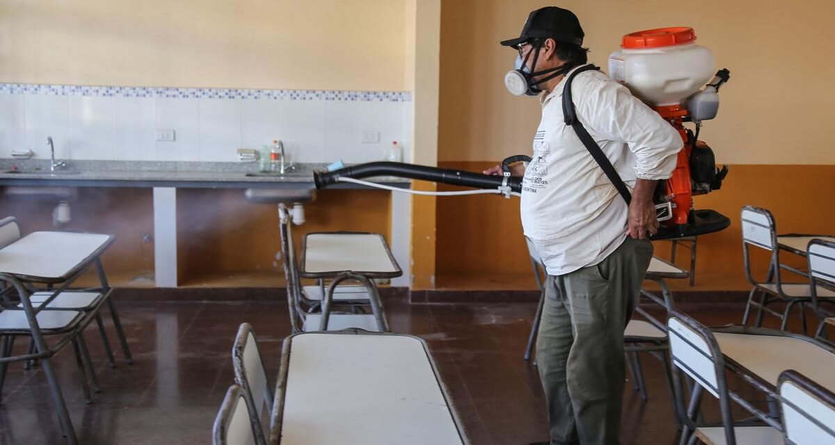 Desde el Conicet afirman que en la Argentina aumentaron un 2500% los casos de dengue