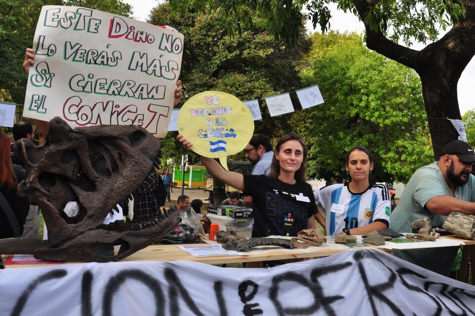 Se realizó el festival científico “Elijo Crecer” en más de 100 ciudades del país