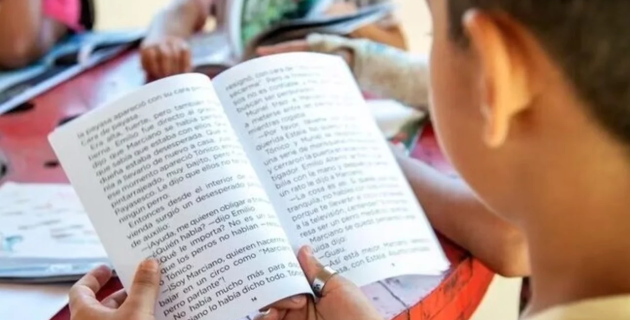 Los planes de alfabetización que presentaron Nación y las provincias tras el lanzamiento de la campaña que impulsaron 190 ONGs