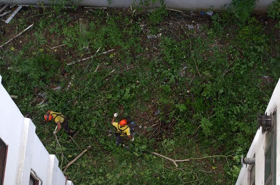 Higienización, desratización y prevención del dengue en baldíos y casas abandonadas: cómo funciona el servicio que cuida la salud pública en la Ciudad